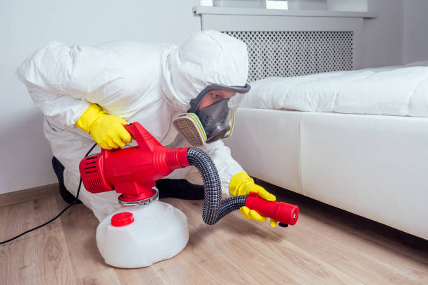 Best Flea Control Services  in Baltimore Highlands, MD