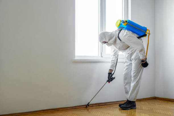 Trusted Baltimore Highlands, MD Pest Control Experts