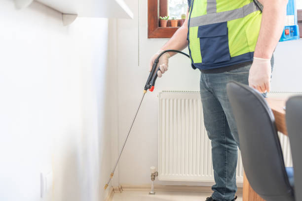 Best Best Pest Control Companies  in Baltimore Highlands, MD