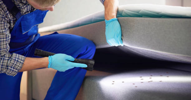 Best Wasp Removal Services  in Baltimore Highlands, MD